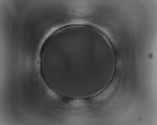 X0000103321414200809051136