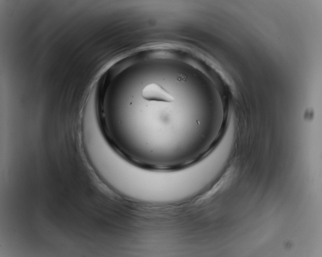 X0000103321417200809051136