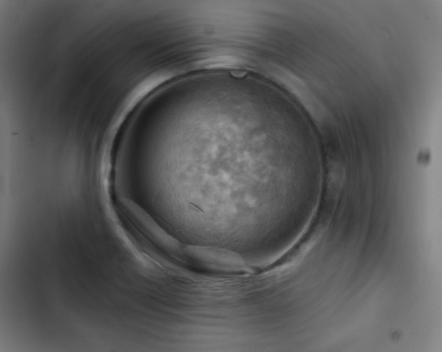 X0000103321418200809051136