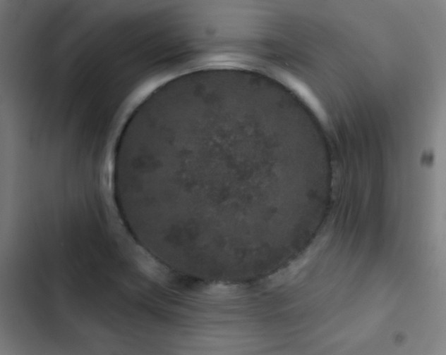 X0000103321419200809051136