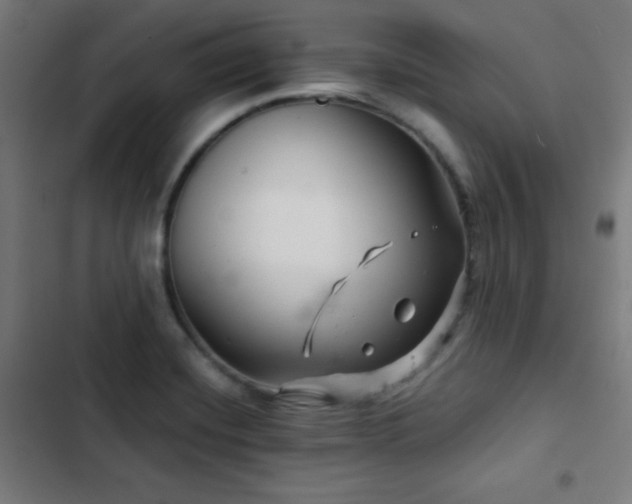 X0000103321420200809051136