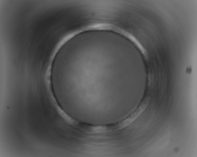 X0000103321421200809051136