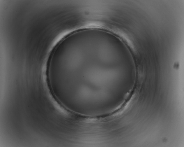 X0000103321422200809051136