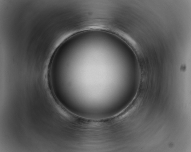 X0000103321423200809051136