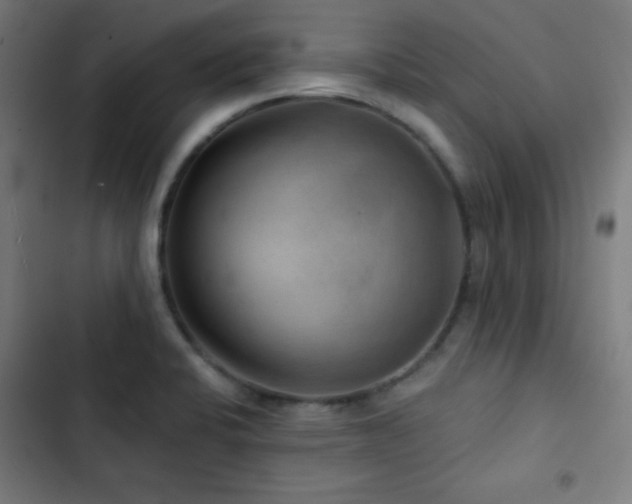 X0000103321424200809051136