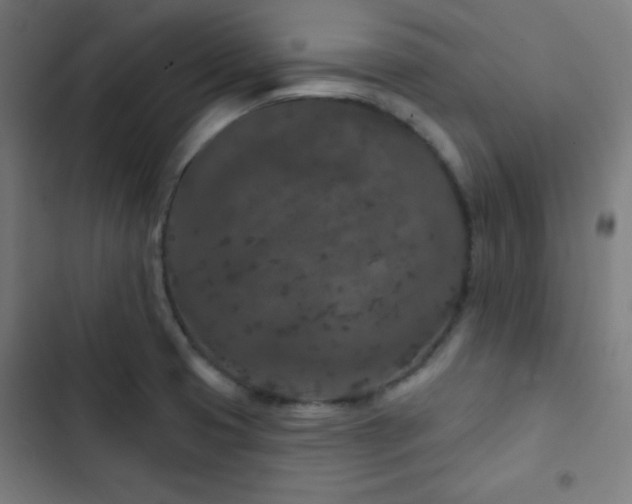 X0000103321425200809051136