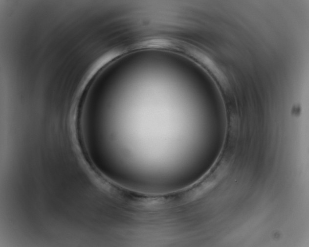 X0000103321426200809051136