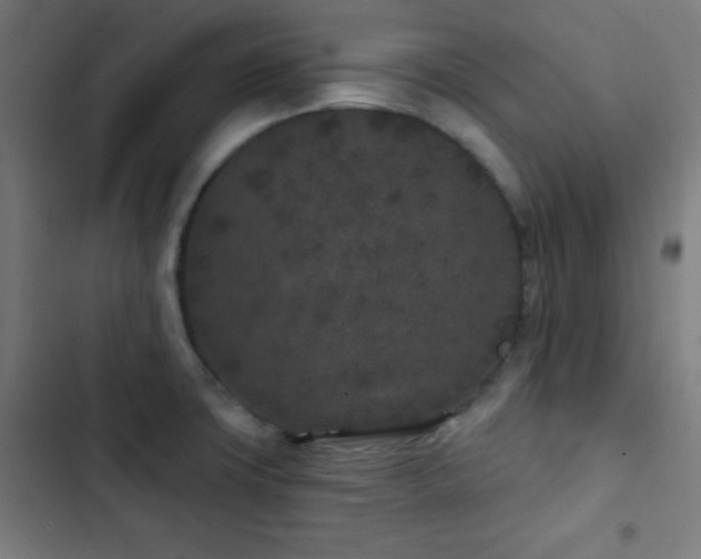 X0000103321427200809051136