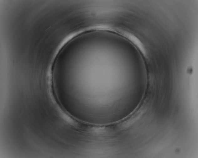 X0000103321428200809051136