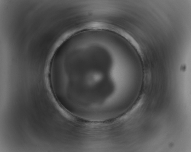 X0000103321429200809051136