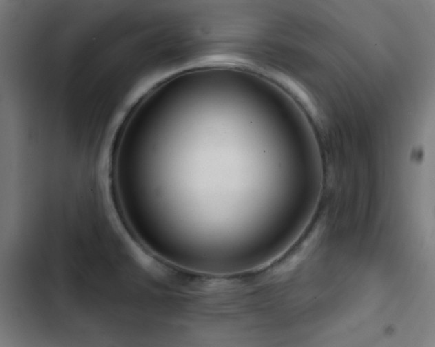 X0000103321430200809051136