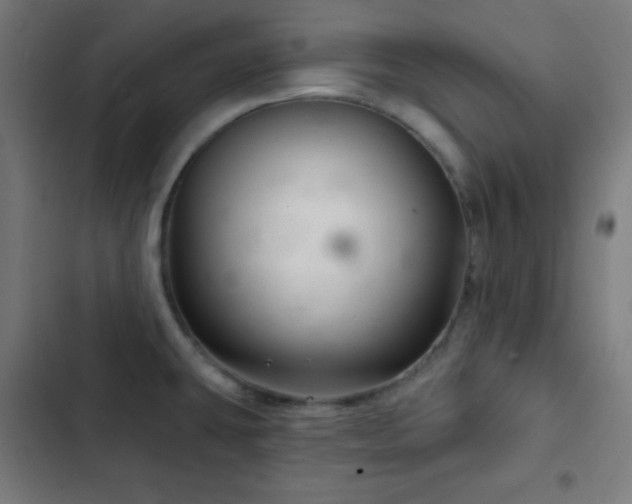 X0000103321431200809051136
