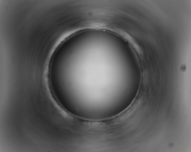 X0000103321432200809051136