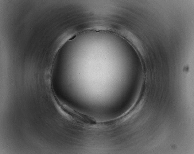 X0000103321433200809051136