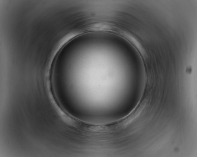 X0000103321434200809051136