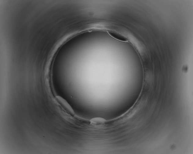 X0000103321435200809051136