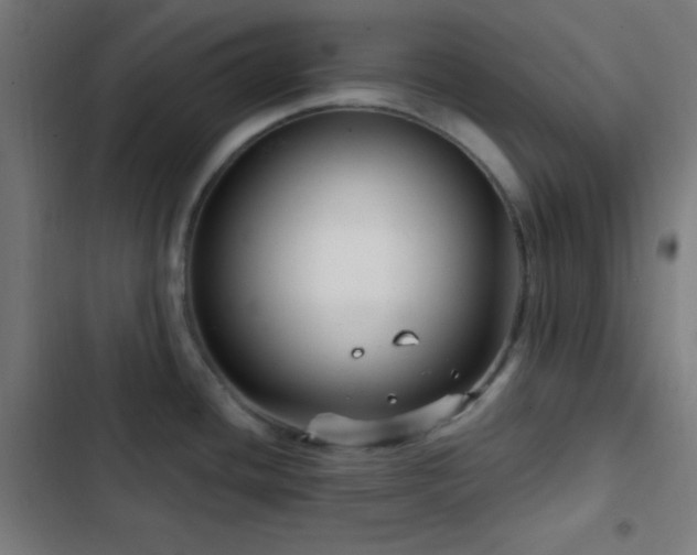X0000103321436200809051136