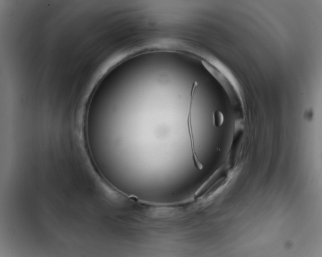 X0000103321437200809051136