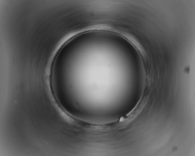 X0000103321438200809051136