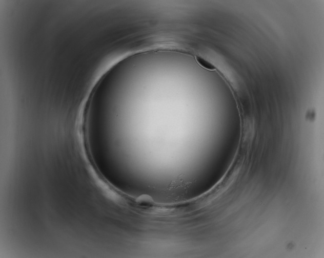 X0000103321439200809051136