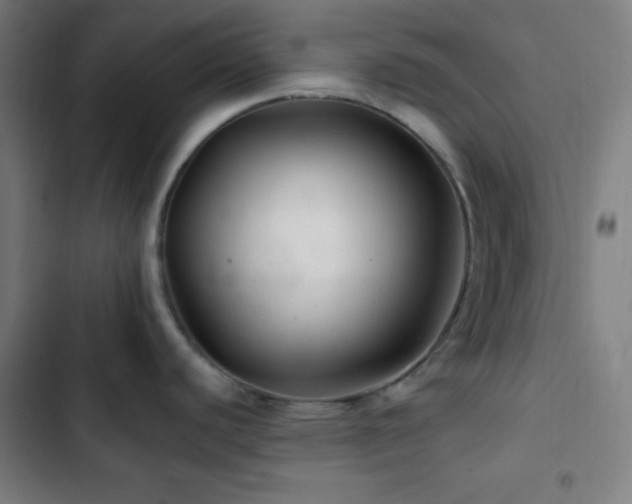 X0000103321440200809051136