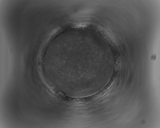 X0000103321441200809051136