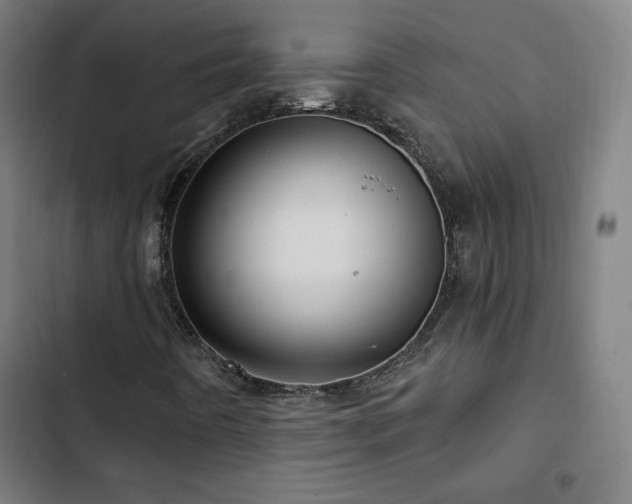 X0000103321442200809051136
