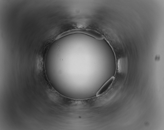 X0000103321443200809051136