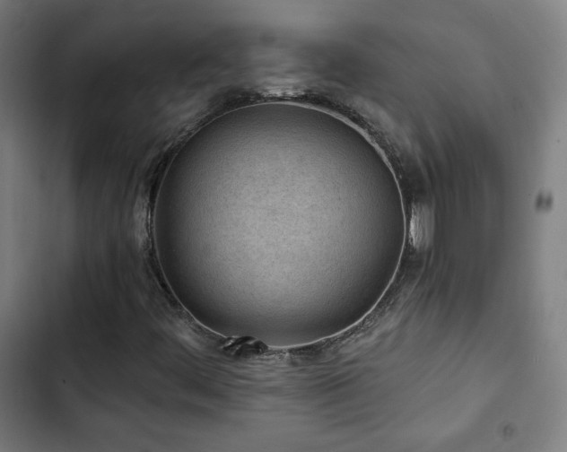 X0000103321444200809051136