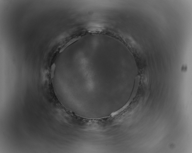 X0000103321445200809051136