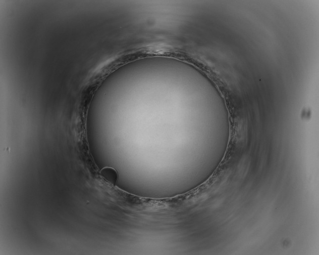 X0000103321446200809051136