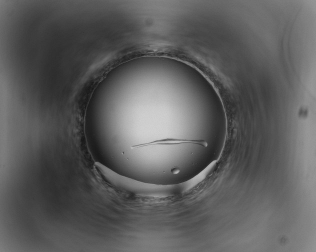 X0000103321447200809051136