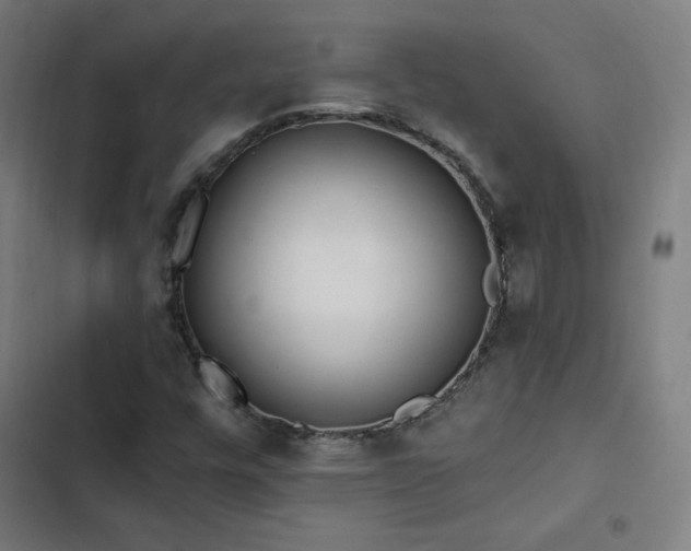 X0000103321448200809051135
