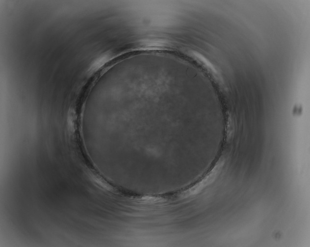X0000103321449200809051135
