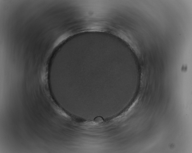 X0000103321450200809051135