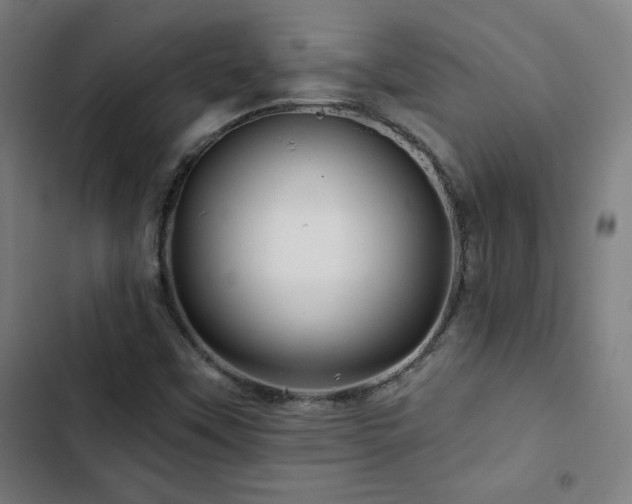 X0000103321451200809051135