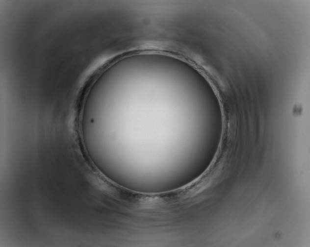 X0000103321454200809051135