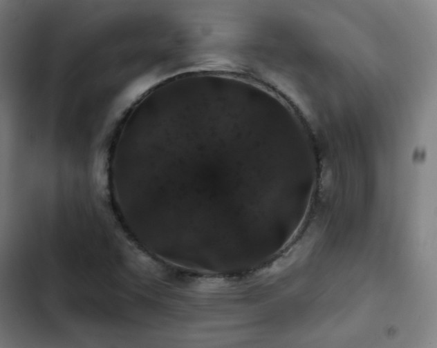 X0000103321455200809051135