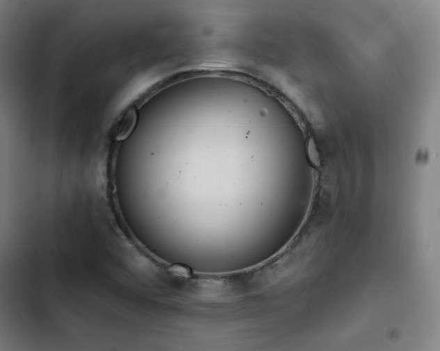 X0000103321456200809051135