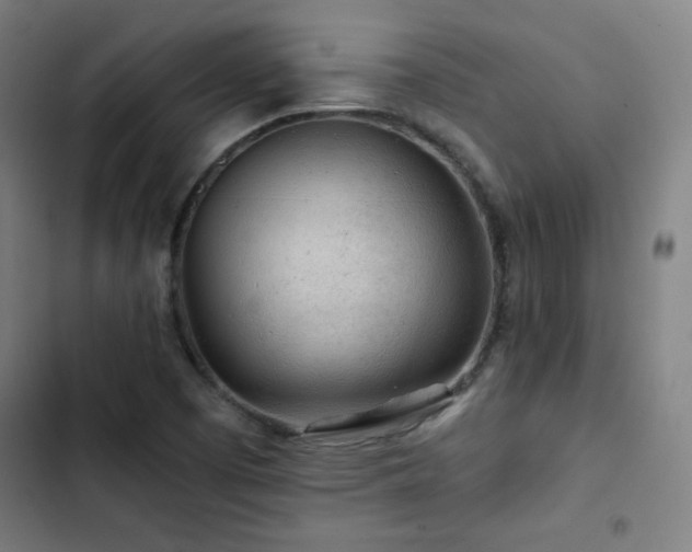 X0000103321457200809051135