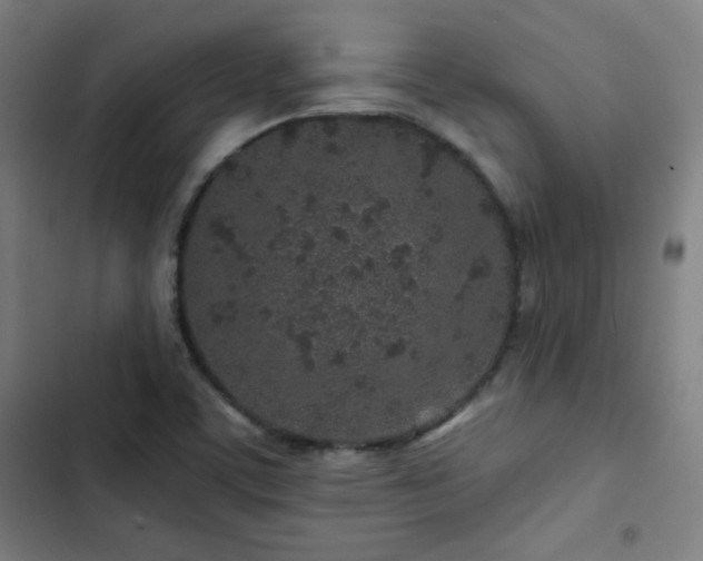 X0000103321459200809051135