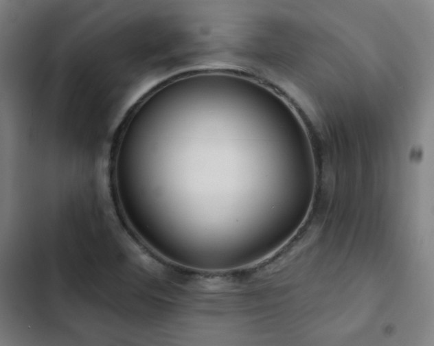 X0000103321460200809051135