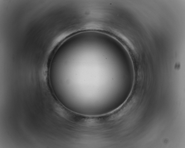 X0000103321461200809051135
