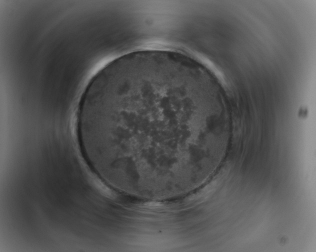 X0000103321463200809051135