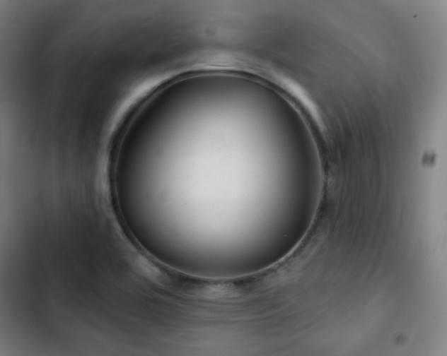 X0000103321464200809051135