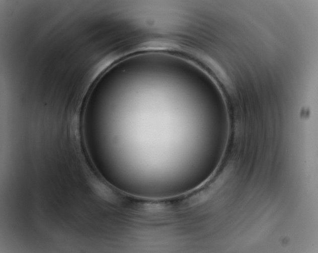 X0000103321465200809051135