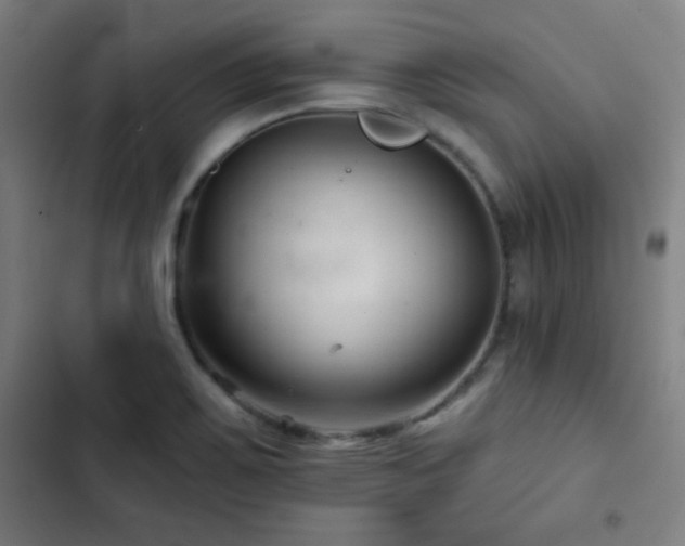 X0000103321467200809051135