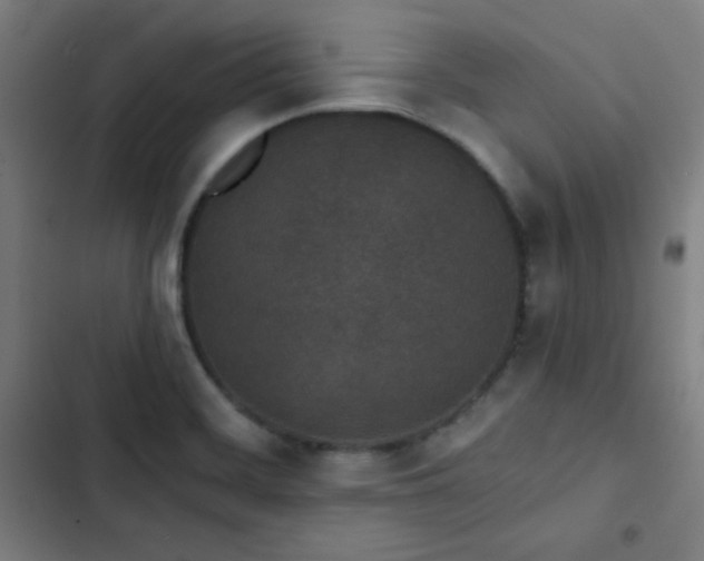 X0000103321468200809051135