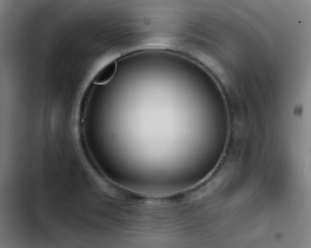 X0000103321469200809051135