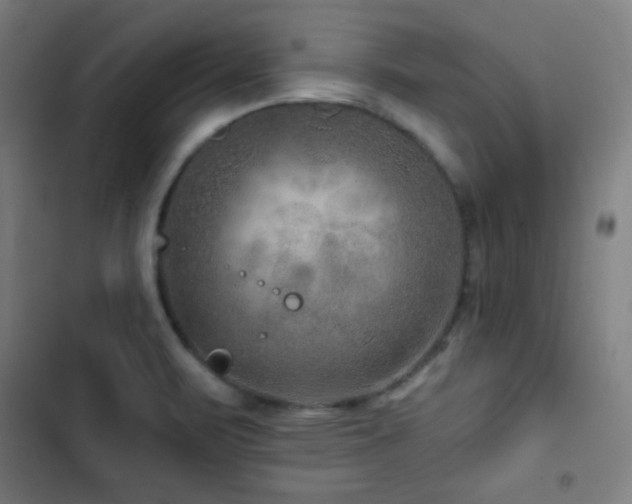 X0000103321471200809051135
